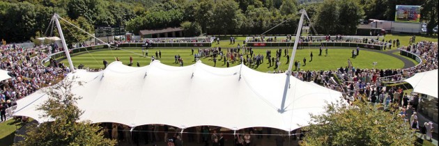 6a at the Races