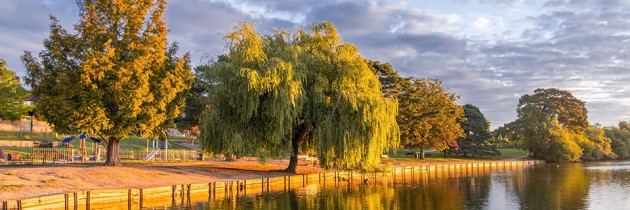 Petersfield, Heath Pond