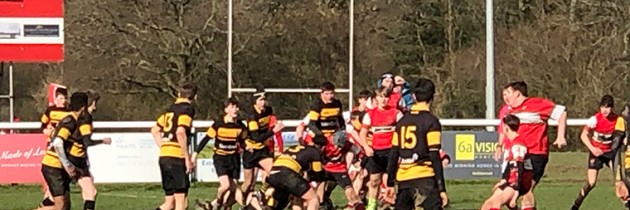 Proud to support Petersfield Rugby Club